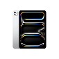 Preview: Apple iPad Pro 11" M5, silber, 12GB RAM, 256GB Fla hinten