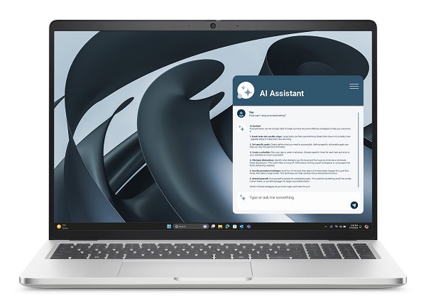 Dell Pro 16 Plus PB16255 - 16