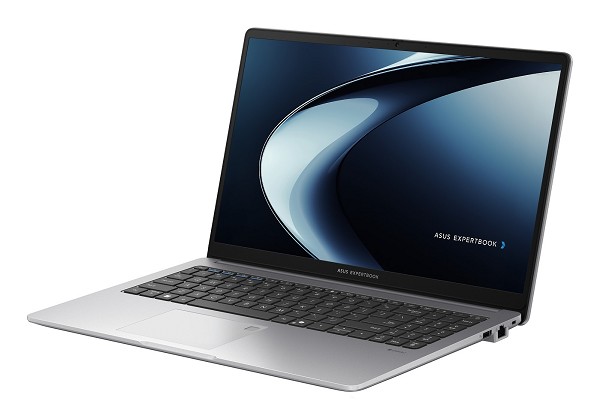 Preview: ASUS ExpertBook P1 PM1503CDA-S70264 AMD Ryzen™ 5 1 hinten