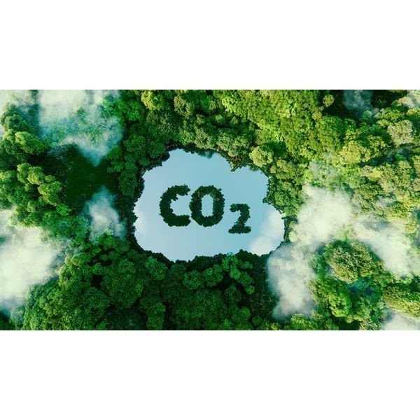Preview: Lenovo Co2 Offset 110 t - Serviceerweiterung rechts