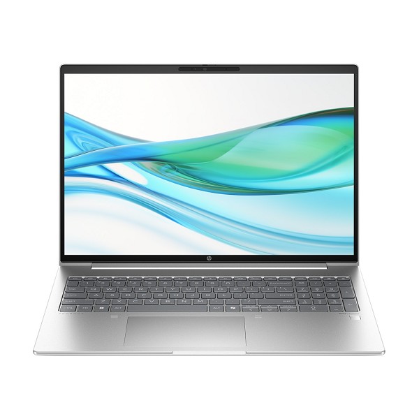 HP ProBook 460 G11, Pike Silver, Core Ultra 5 125U