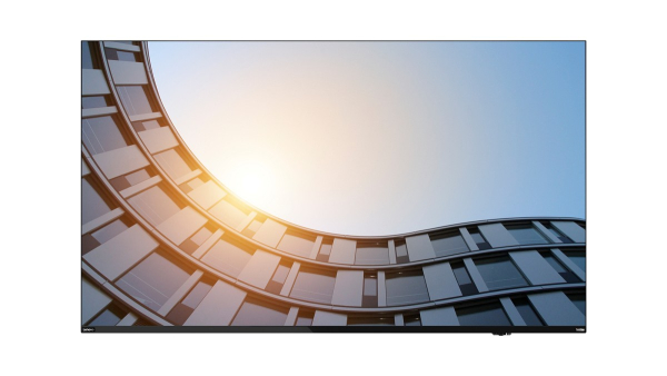 Lenovo ThinkVision E65 LFD 163,8 cm (64.5") 3840 x