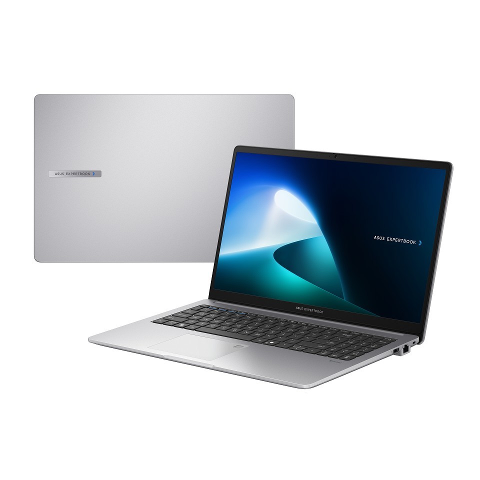 ASUS ExpertBook P1 P1503CVA-S71300 -  Core i5 13420H - kein  rechts